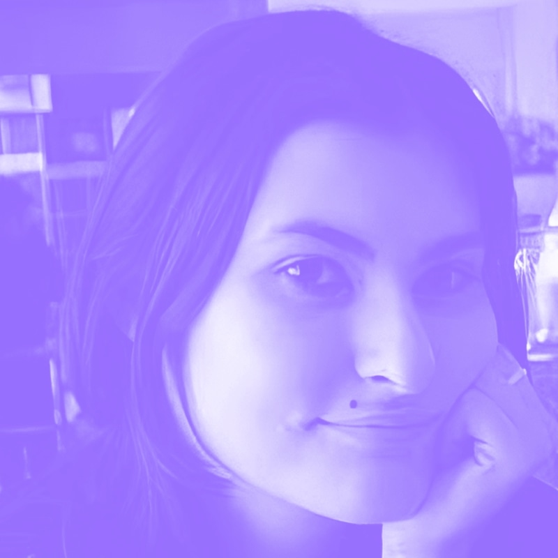 Professor Loredana Ivan